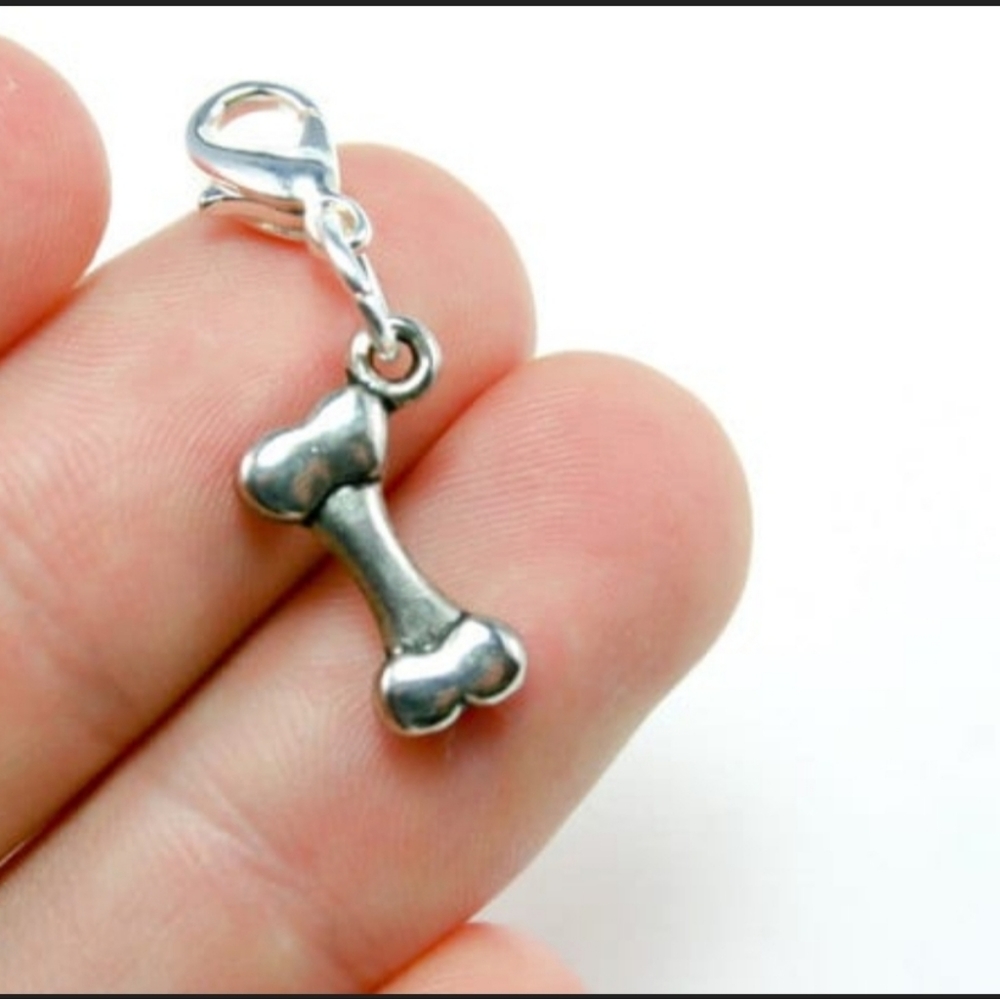 Clip On Dog Bone charms planner charm clipon zipper bracelet charms